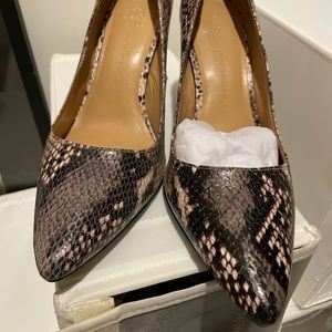 Snake skin look Banana Republic Pump